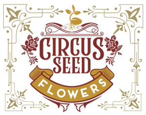 Circus Seed Flowers