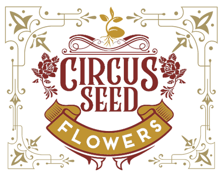 Circus Seed Flowers